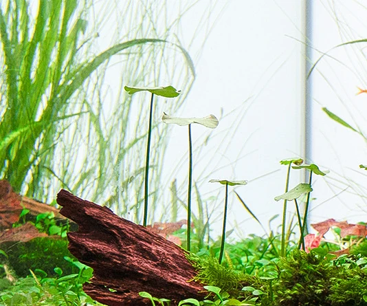 Against the Flow – detail 3