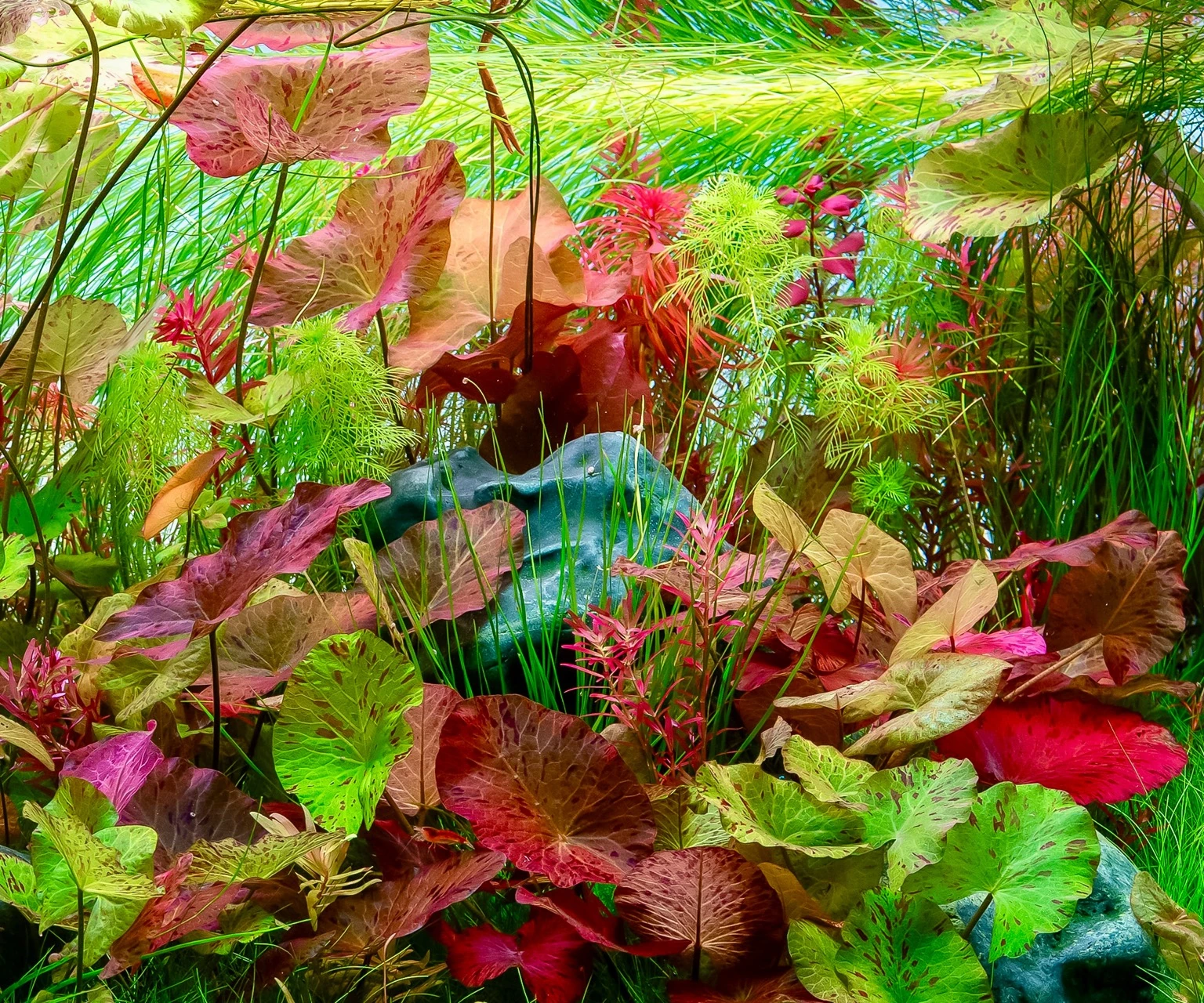 Spring happines – detail 1