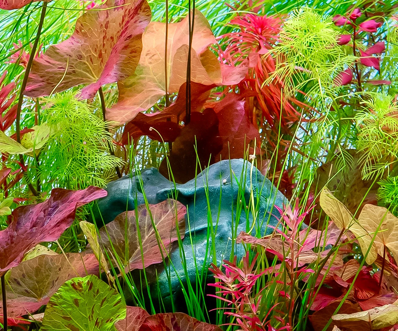 Spring happines – detail 4