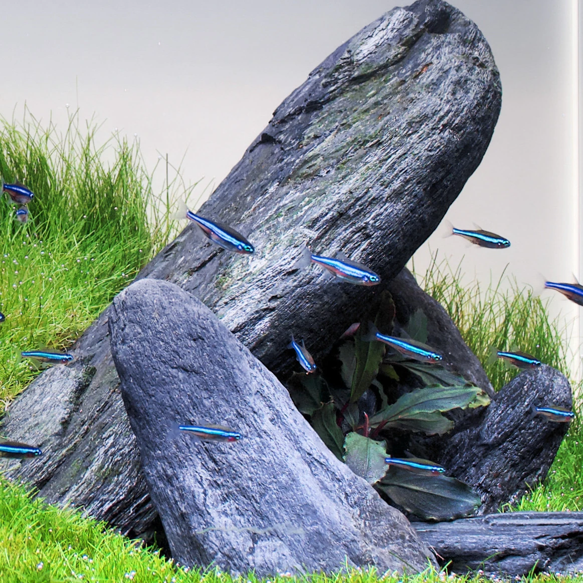 Step Aside – detail 1